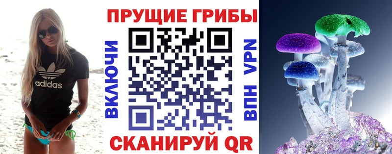 Купить закладки  Ак-Довурак  Галлюциногенные грибы ЛСД 